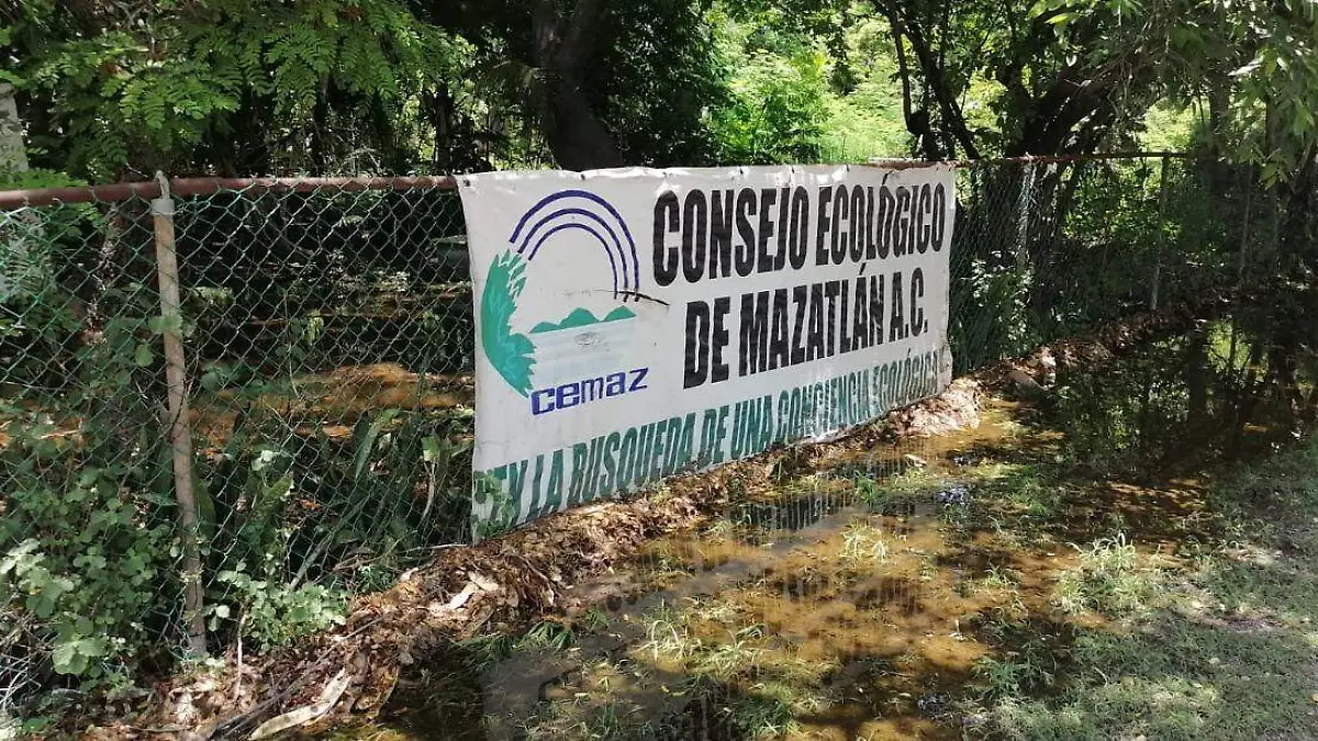 Consejo Ecologico de maztlan